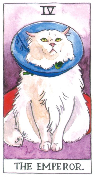 Le Cat Tarot