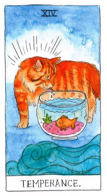 Tarot des Chats (Cat Tarot)