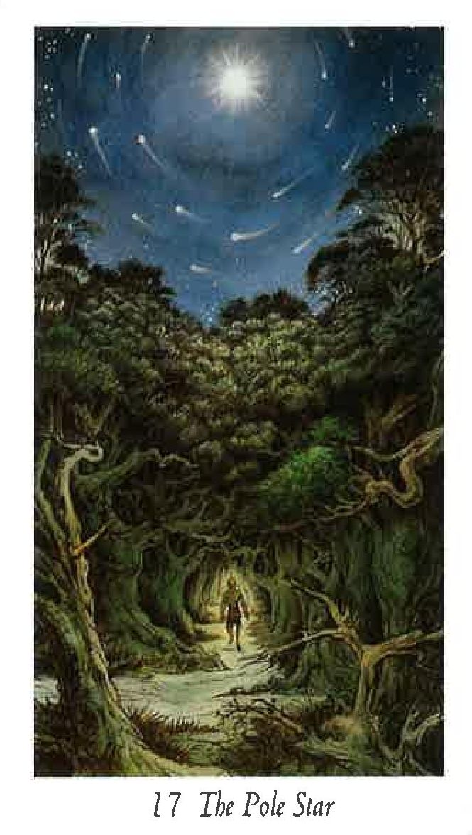 Le Tarot De La Forêt Enchantée (Wildwood Tarot)