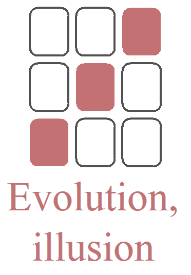 Les diagonales : Axes de transformation