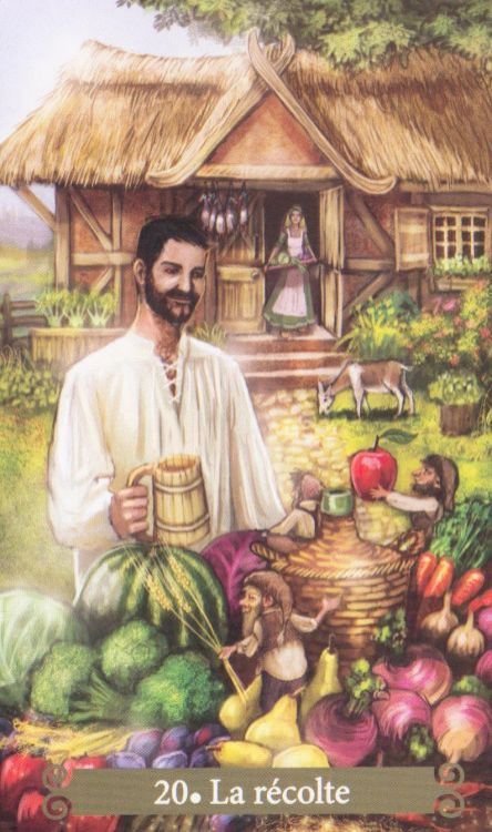 20 - La récolte