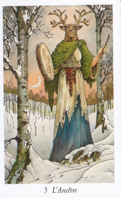 Les cartes que j'aime moins