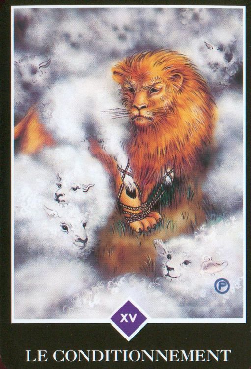 XV - Le Conditionnement