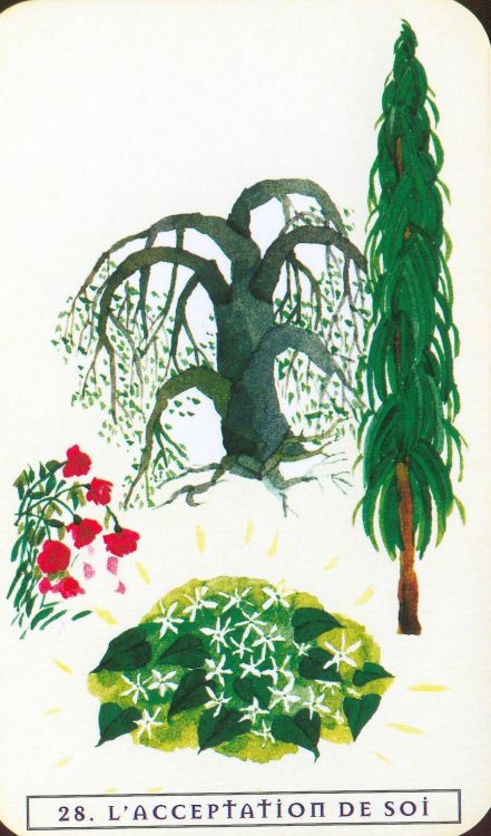 28 - L'acceptation de soi