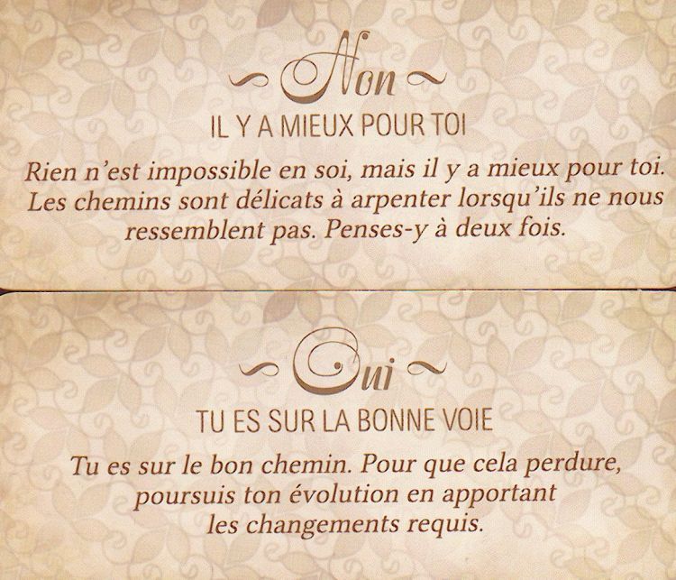 Une carte OUI et une carte NON