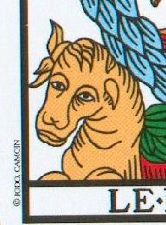 La présence du copyright