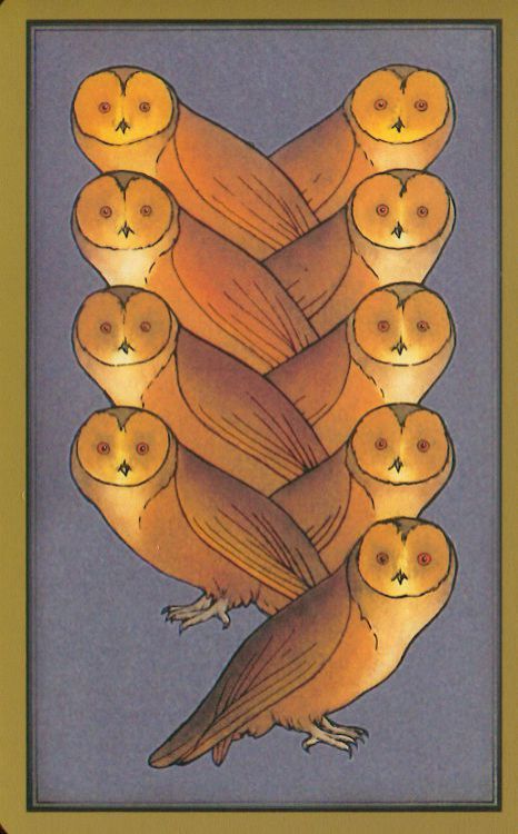 Les cartes de chouettes